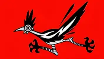 Rockin Roadrunner